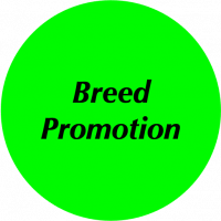 breed promo